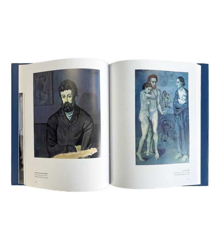 Libro Piccaso Maestro De Las Artes