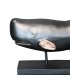 ADORNO BALLENA MOBY POLIRESINA NEGRO