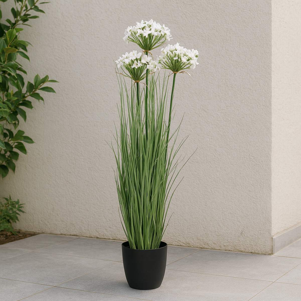 Grass Leek Flor de Puerro con Macetero 109 cm de Altura