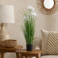 Grass Lily Flor de Lirio con Macetero 70 cm de Altura