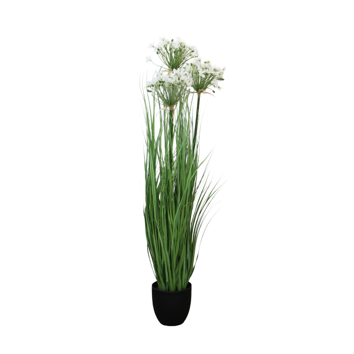 Grass Leek Flor de Puerro con Macetero 109 cm de Altura