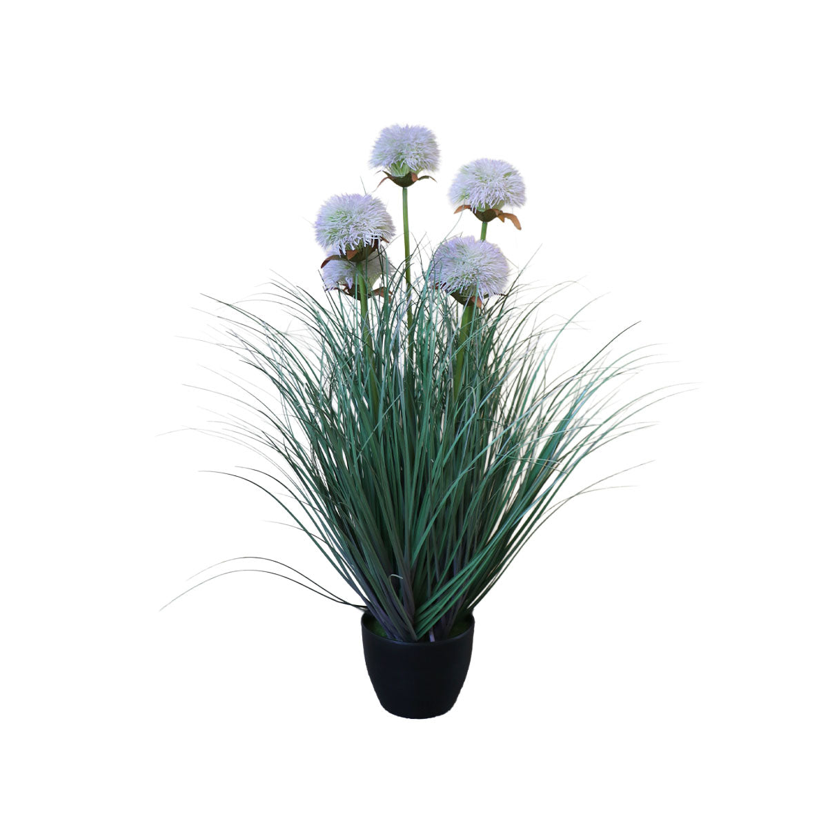 Grass Sunflower Flor del Sol con Macetero 56 cm de Altura