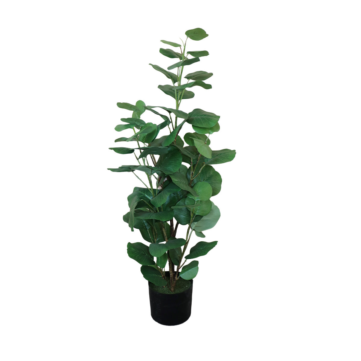 Árbol Eucalipto con Macetero 91 cm de Altura