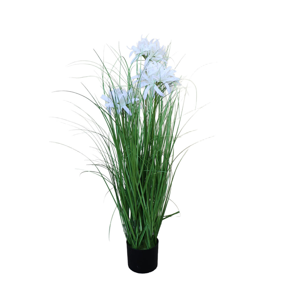 Grass Lily Flor de Lirio con Macetero 70 cm de Altura