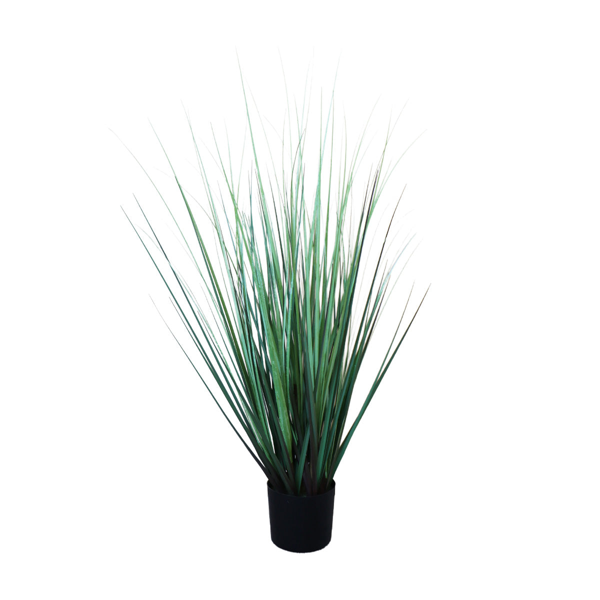 Grass Chascón con Macetero 91 cm de Altura