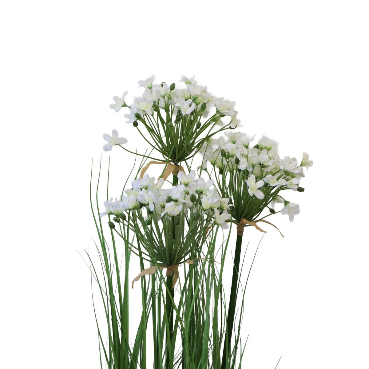 Grass Leek Flor de Puerro con Macetero 109 cm de Altura