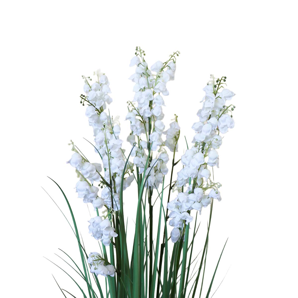 Grass Bellflower Flor de Campanilla con Macetero 110 cm de Altura