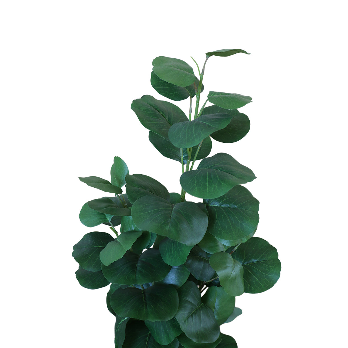 Árbol Eucalipto con Macetero 91 cm de Altura
