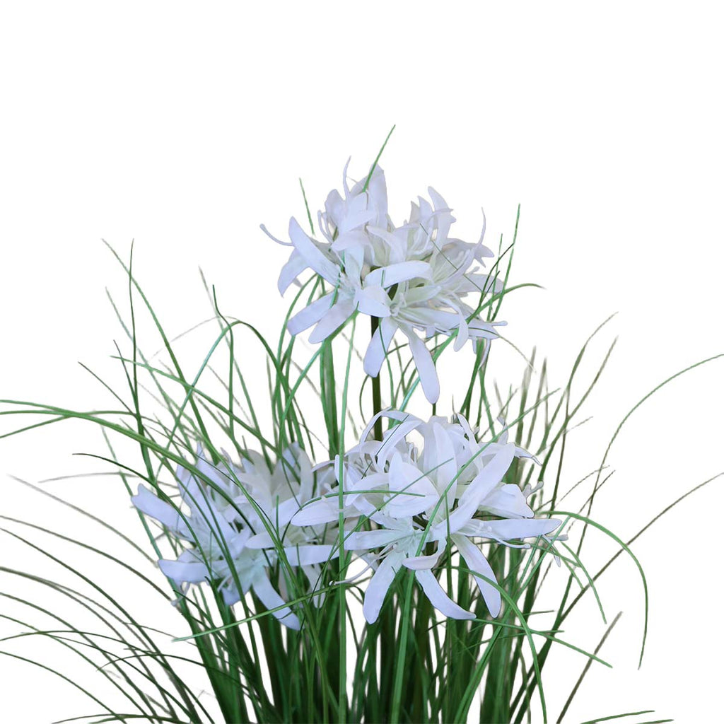 Grass Lily Flor de Lirio con Macetero 70 cm de Altura