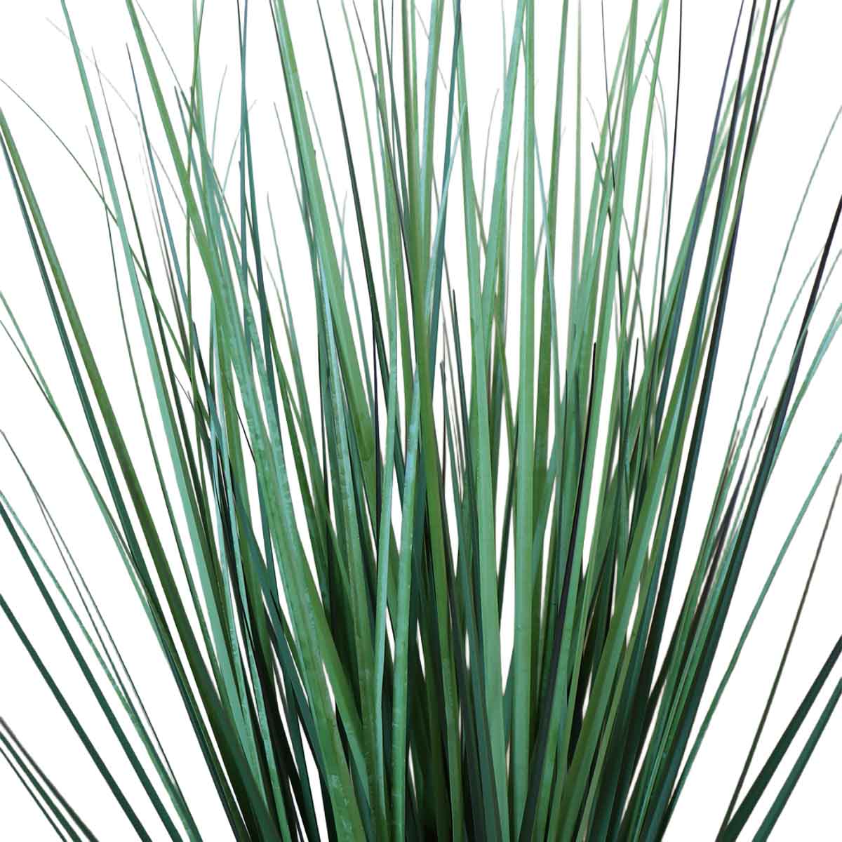 Grass Chascón con Macetero 91 cm de Altura