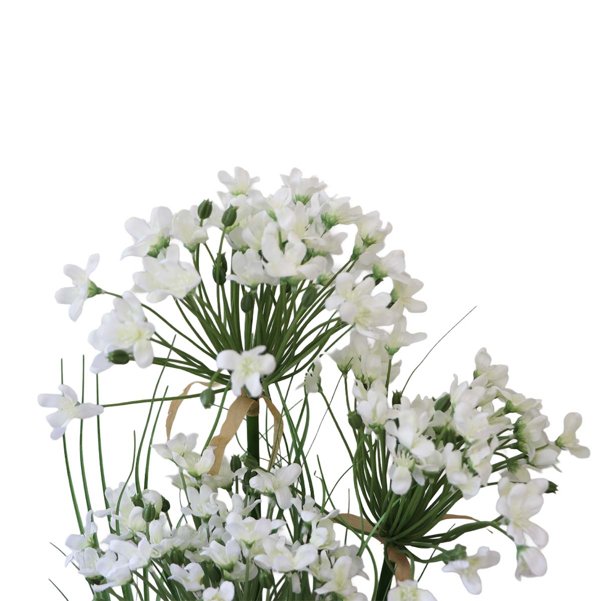 Grass Leek Flor de Puerro con Macetero 109 cm de Altura