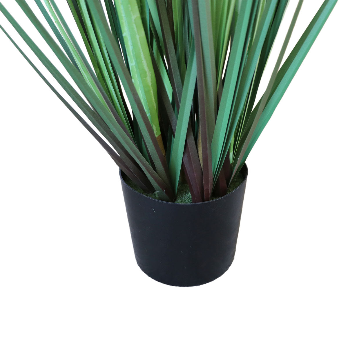 Grass Chascón con Macetero 91 cm de Altura